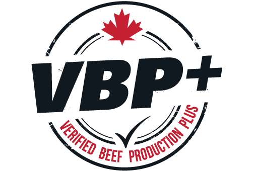 VBP_Logo_Colour_profile