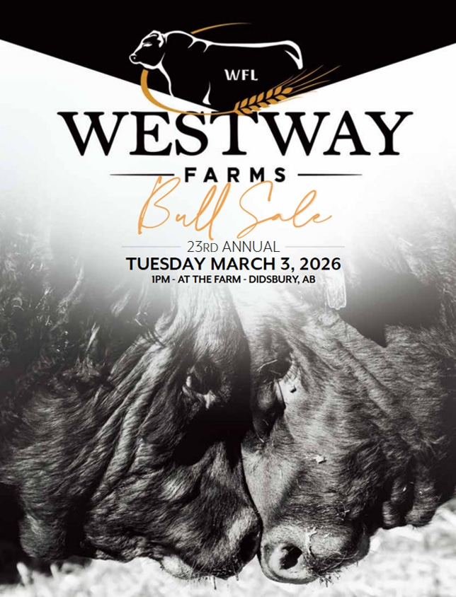 Canadian Angus Association