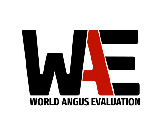 World Angus Evaluation logo