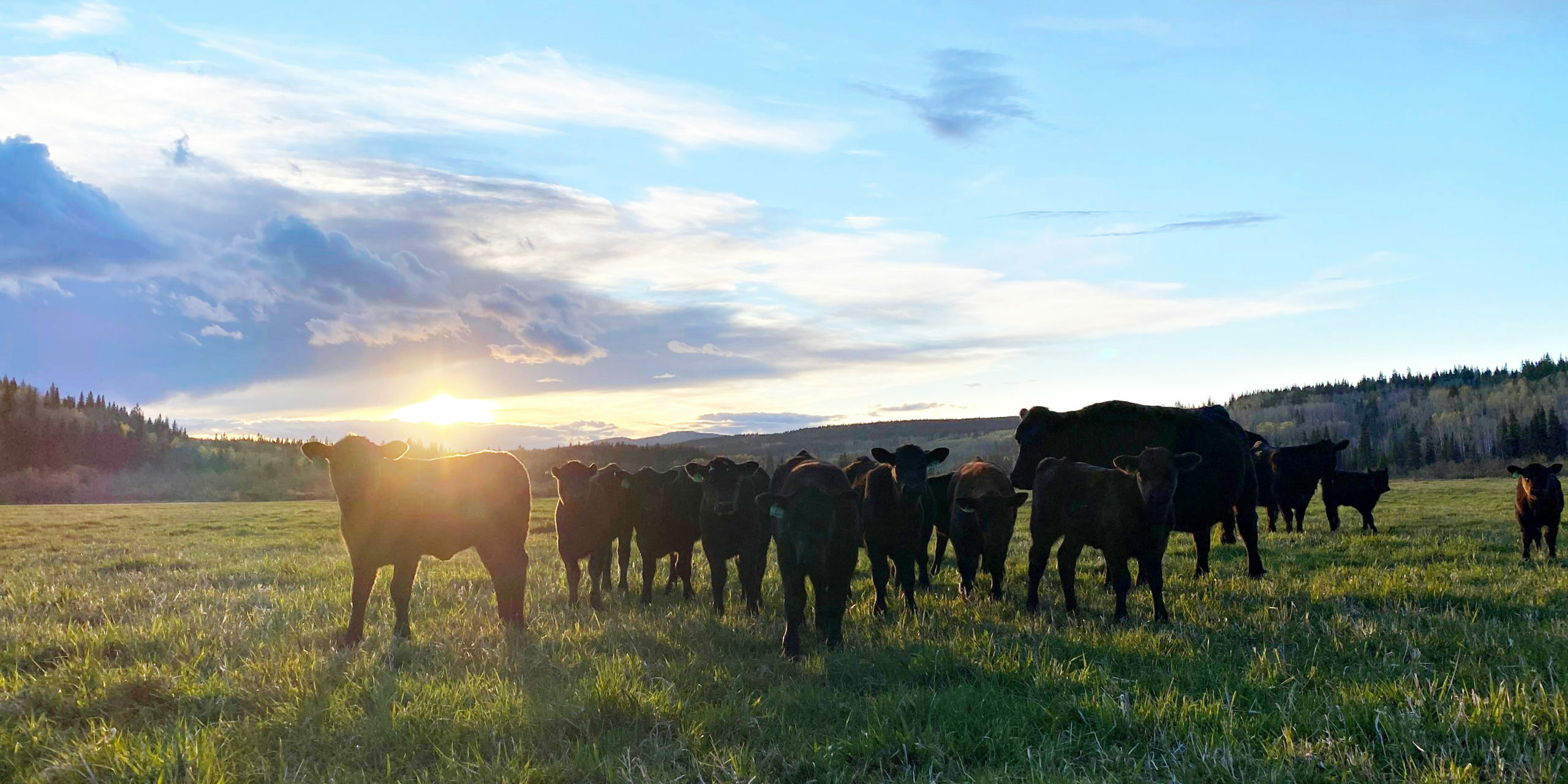 288523551_590474305727677_110372190705981990_n