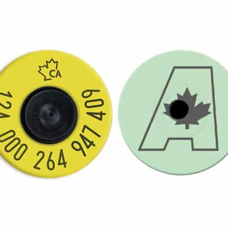 Allflex Canadian Angus RFID Tags