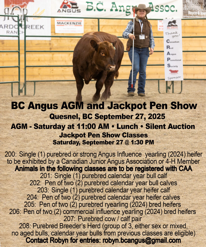 bc angus AGM jackpot 2025-6 copy