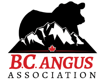 bc-angus-association-logo