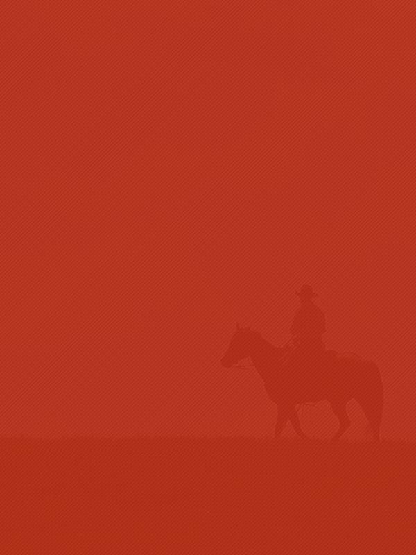 Canadian Angus Association