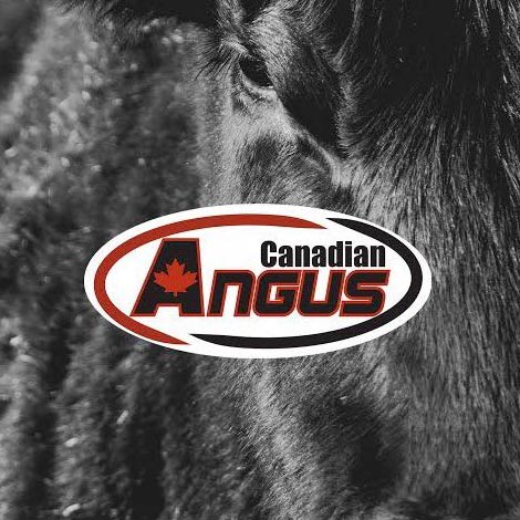 Canadian Angus Logo