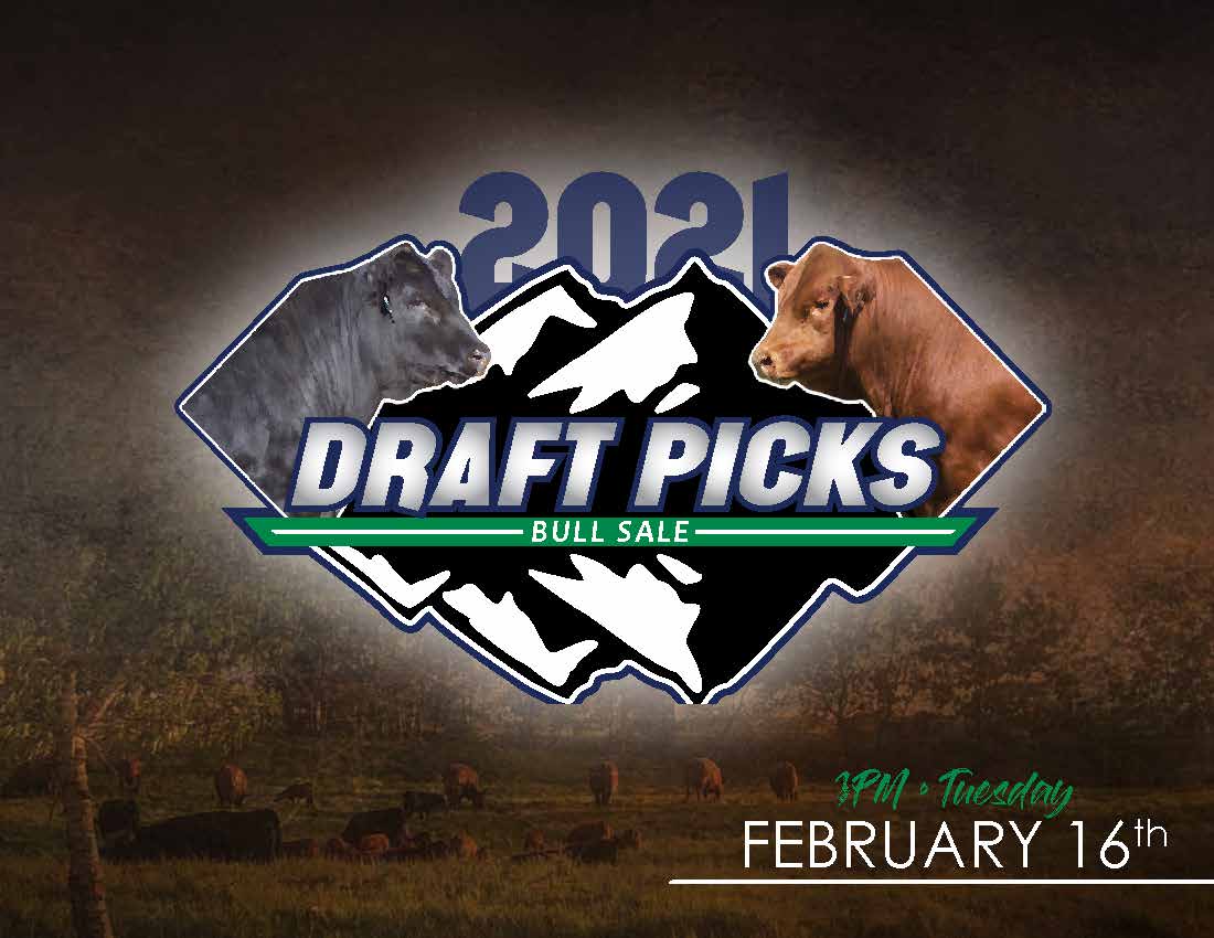 Canadian Angus Association