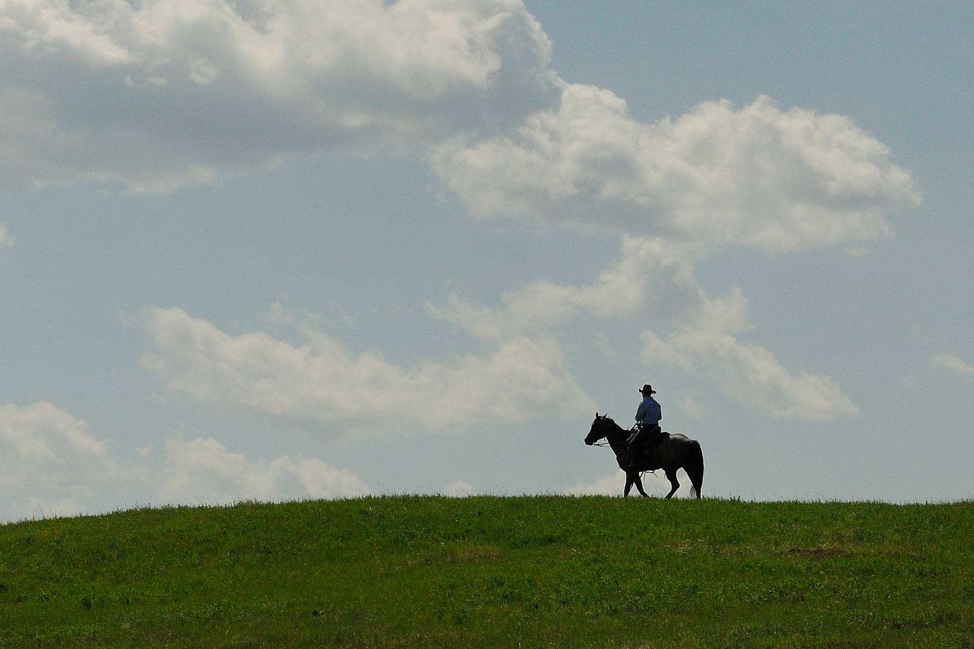 Canadian Angus Association