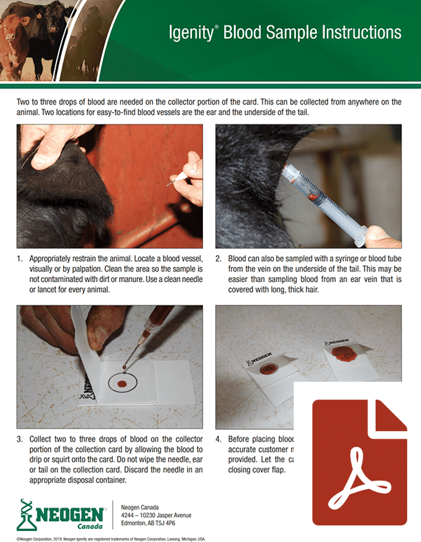 igenity-blood-sample-instructions-pdf-thumb - Canadian Angus Association