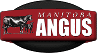 manitoba-angus-association-logo
