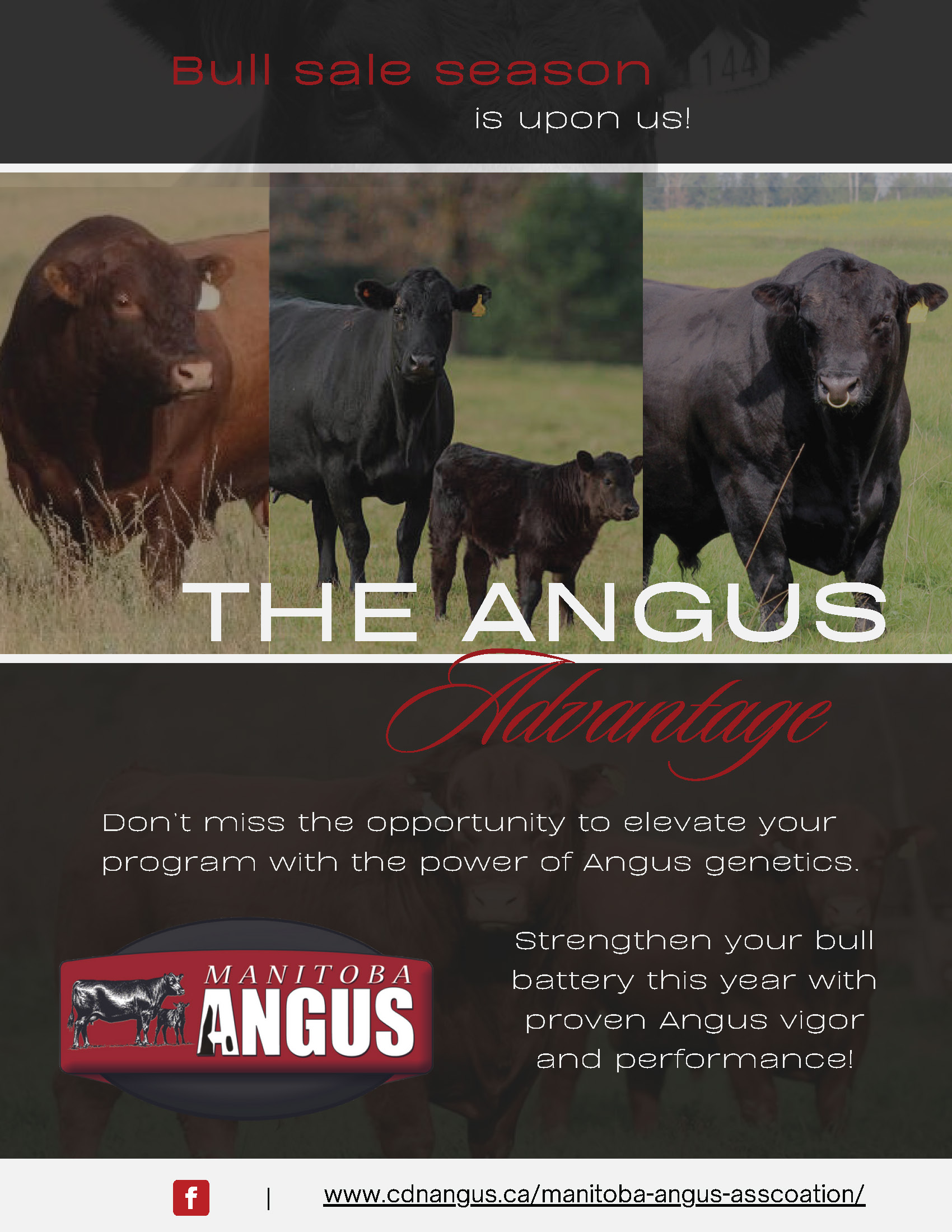 Canadian Angus Association